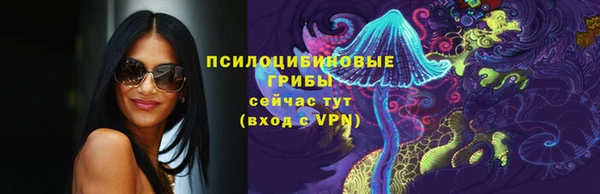 тгк Алексин
