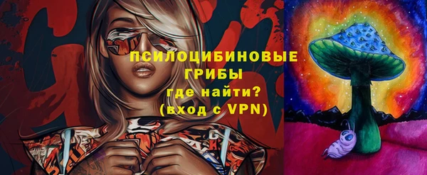 круглые Алексеевка
