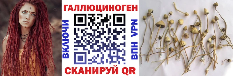 кракен онион мориарти формула Галлюциногенные грибы GOLDEN TEACHER где найти Пойковский